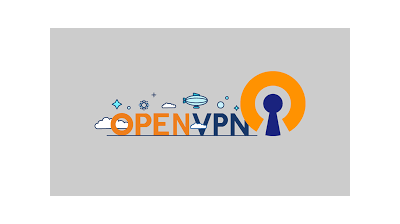 файл активации профиля OPEN VPN со скоростью 1гб/с