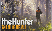 💠 Hunter: Call of the Wild (PS4/RU) П3 - Активация