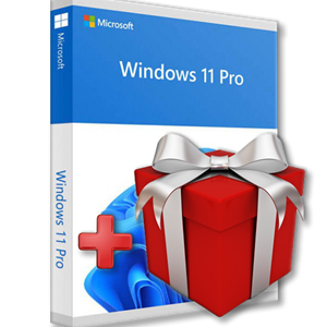 Microsoft Windows 11 Pro + ПОДАРОК