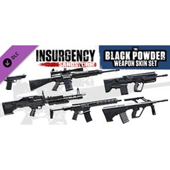 Insurgency: Sandstorm - Black Powder Weapon Skin Set 💎