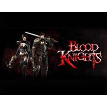 Blood Knights / STEAM KEY 🔥