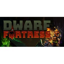 Dwarf Fortress + ОБНОВЛЕНИЯ + DLS / STEAM АККАУНТ
