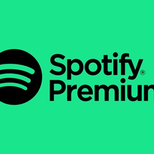 🔸 🔥 Аккаунт Spotify 🔥 Полный доступ 🎁 Премиум