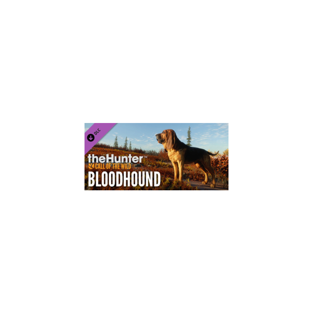 Купить theHunter Call of the Wild - Bloodhound (DLC) 🔑 STEAM