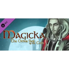 🔑 Magicka: The Other Side of the Coin DLC STEAM KEY 🎁