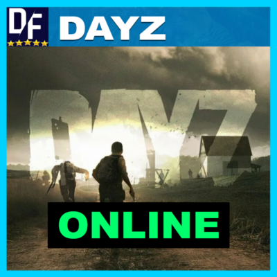 DayZ・ОНЛАЙН・АРЕНДА АККАУНТА 24/7・STEAM・PC