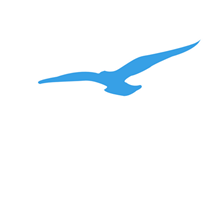 Charter LLC "Smart Falcon" | 2022 | almira