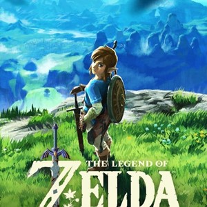 The Legend of Zelda: Breath of the Wild ✅  Switch