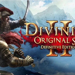 Divinity: Original Sin 2 Definitive Edition ✅  Switch