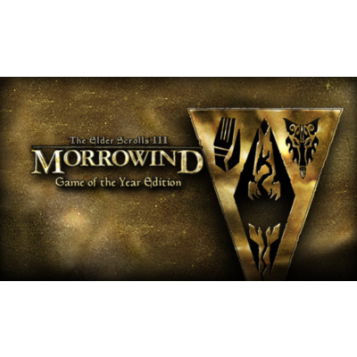 TES3 III: MORROWIND GOTY ключ Global + RU/CIS РФ Россия