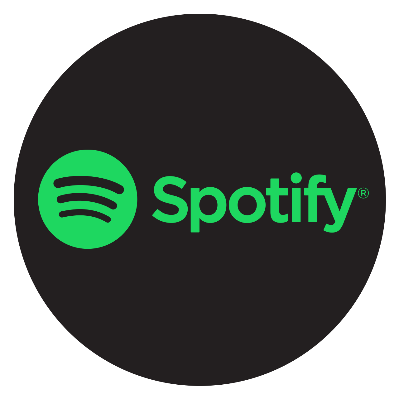 Можно spotify. Spotify. Иконка спотифай. Spotify логотип. Занчёк споти фай.