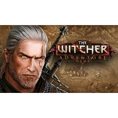 The Witcher Adventure Game Steam GIFT RU+CIS 💳0%