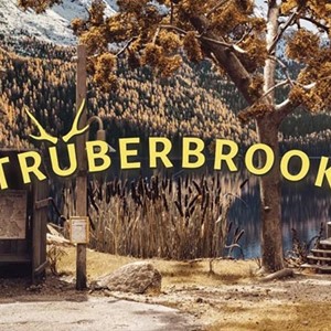 💠 Truberbrook (PS4/PS5/RU) (Аренда от 7 дней)