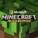Minecraft: Java & Bedrock + Hypixel VIP + Level 25+ ??