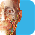 Human Anatomy Atlas 2024 ✅ Microsoft Store Windows PC