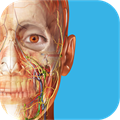 Human Anatomy Atlas 2024: Complete 3D ✅ Microsoft Store