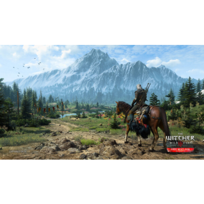 ❤️ The Witcher 3 III Wild Hunt Steam Offline