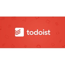 Todoist Pro | Subscription 1/12 months to your account