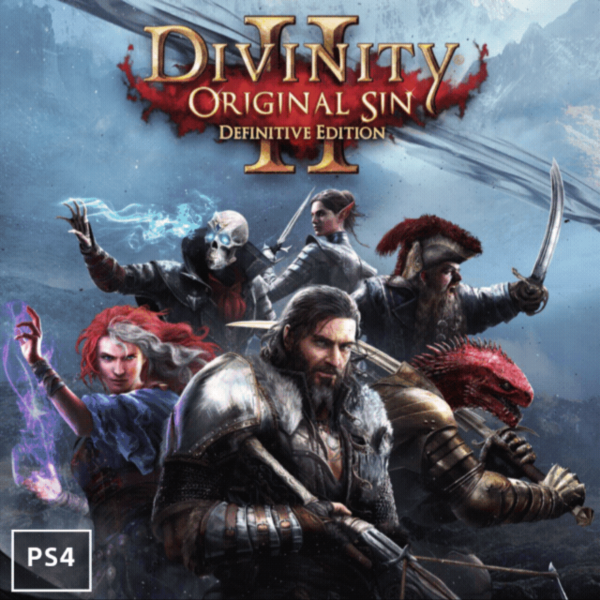 Divinity: Original Sin 2 PS4 | Турция PS