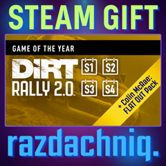 🚘DiRT Rally 2.0 GOTY {Steam Gift/Россия/СНГ} + Бонус🎁