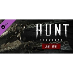 Hunt Showdown - Last Gust | steam gift RU✅