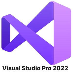 MICROSOFT VISUAL STUDIO PRO 2022 / 100% ONLINE KEY