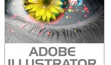 Adobe Illustrator CS5 For 1 Windows PC Perpetual Key