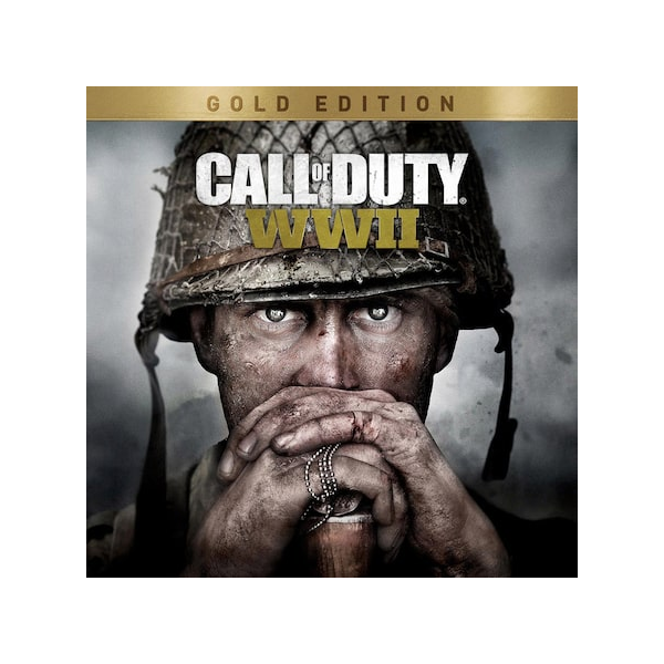 🔴 Call Of Duty: WW2 / COD: WW2❗️PS4/PS5 🔴 Турция