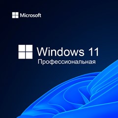 Windows 10 / 11 Professional 32/64 Bit