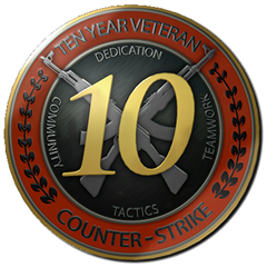 🥇2004г +ПОЧТА 10 лет ветеран CS GO медаль