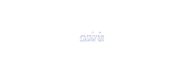 BvD Osiris  Access  1 дня Доступ