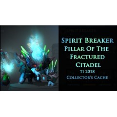 Pillar of the Fractured Citadel✅Collector&acute;s Cache 2018