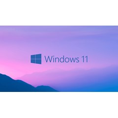 🔥Windows 11 Professional 🔥