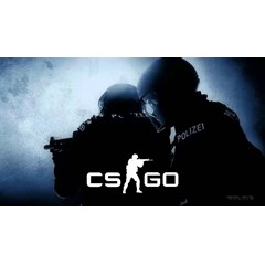 ⚡️Cs:Go / часы / полная смена данных / гарантия⚡️