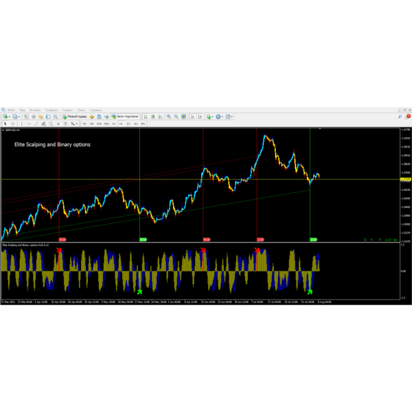 Elite Scalping and Binary options