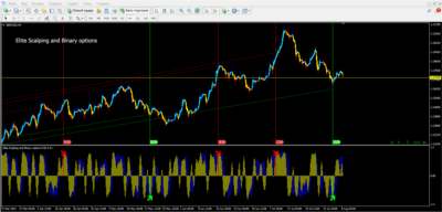Elite Scalping and Binary options