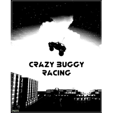 Crazy Buggy Racing (STEAM KEY / REGION FREE)