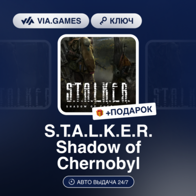 🔪 STALKER: Shadow of Chernobyl 🌼 Steam Ключ