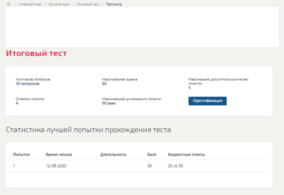 Русский язык.Итоговый тест Синергия/МТИ 2023г