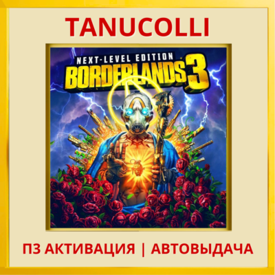 ☀️ Borderlands 3 Next level (PS4/PS5/RU) П3 - Активация