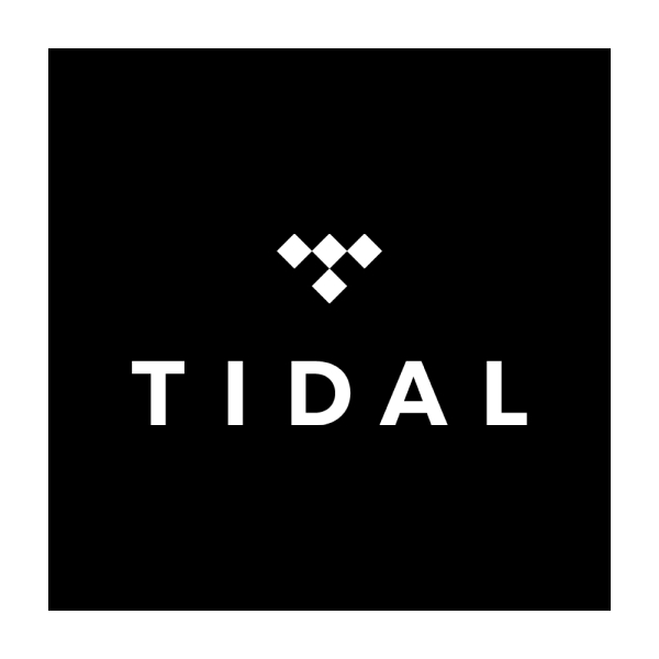 Tidal I Сервис по закачке файлов I Скачать