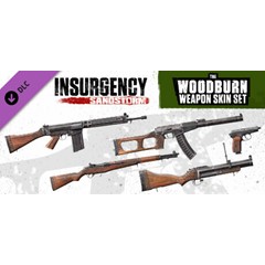 Insurgency: Sandstorm - Woodburn Weapon Skin Set 💎 DLC