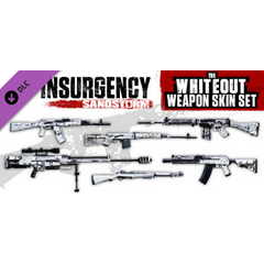 Insurgency: Sandstorm - Whiteout Weapon Skin Set DLC