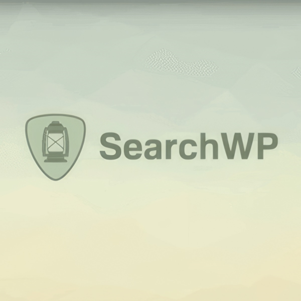 SearchWP [4.3.9] — Русификация плагина