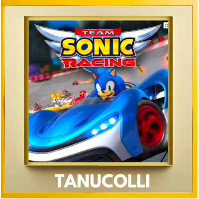 ☀️ Team Sonic Racing (PS4/PS5/RU) П3 - Активация