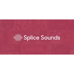 SPLICE SOUND ДЛЯ АВТОРОВ  Creator+ ПОДПИСКА МЕСЯЦ+