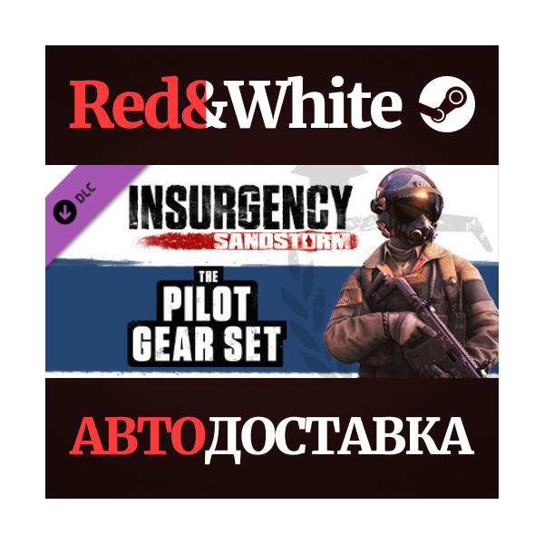 Insurgency: Sandstorm — Pilot Gear Set DLC