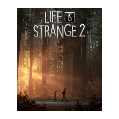 🎭Life is Strange 2✔️STEAM Аккаунт | ОФЛАЙН