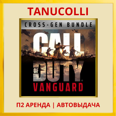Call of Duty Vanguard Cross Gen (PS/PS4/PS5/RU) Аренда