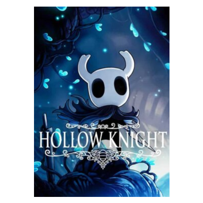 ✅ Hollow Knight